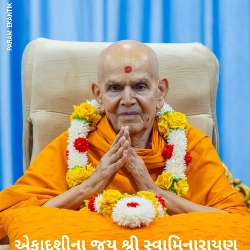 Dhruvesh rana main, photo 1